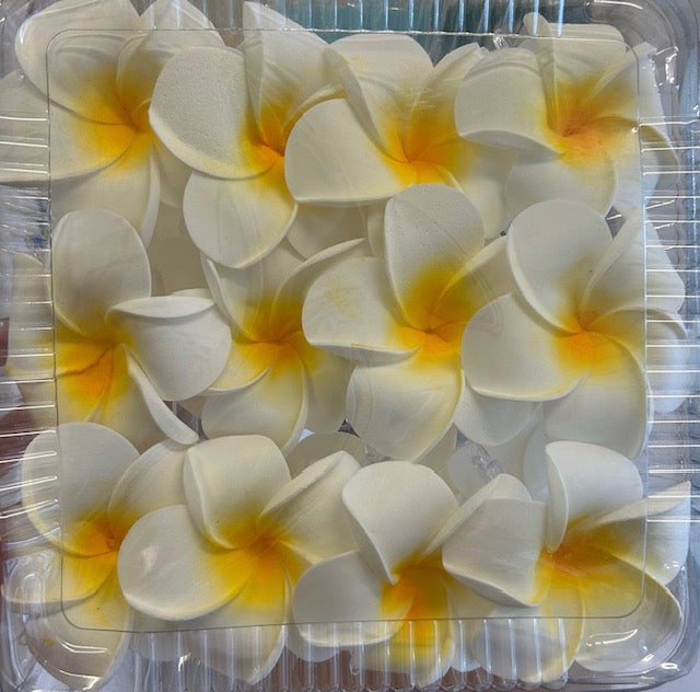 Frangipani Claw Clips - Medium White only