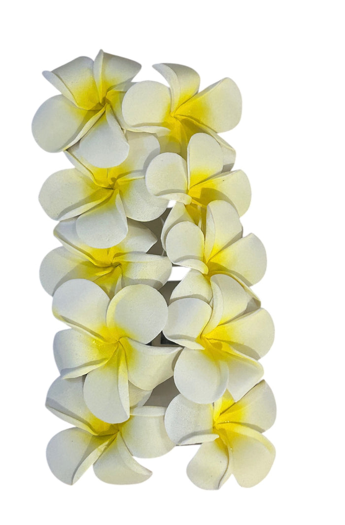 Frangipani Slide Clips Medium - White only