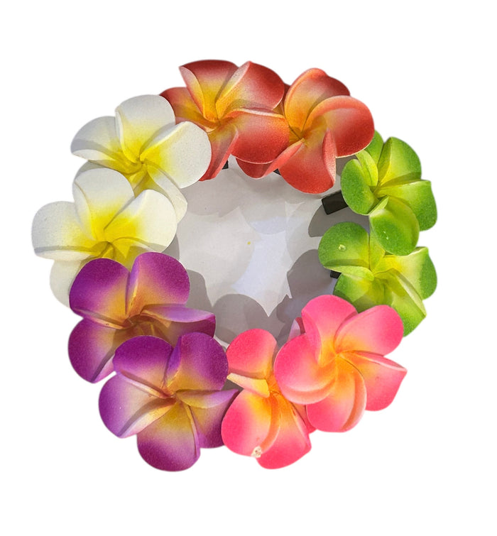 frangipani Slide Clips Small - Mixed colours