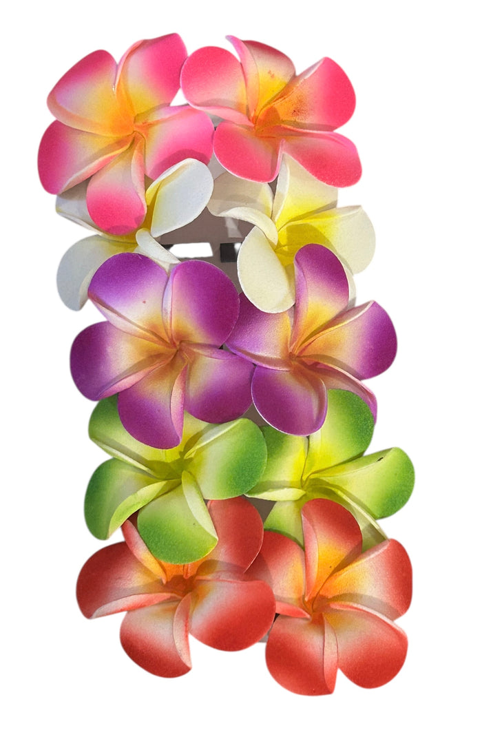 Frangipani Slide Clips Medium  - mixed colours